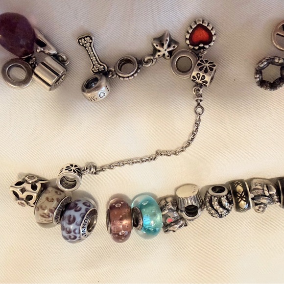 Pandora Elegant Silver Charm Bracelet Set - Picture 5 of 8